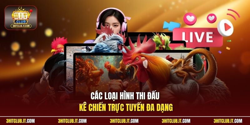 Các loại hình thi đấu kê chiến trực tuyến đa dạng