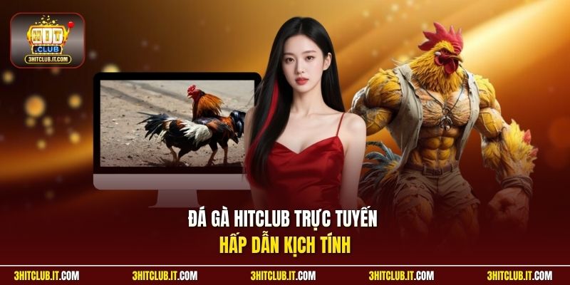 Đá gà HitClub trực tuyến hấp dẫn kịch tính