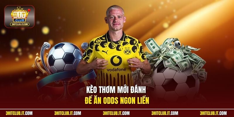 Kèo thơm mới đánh để ăn odds ngon liền