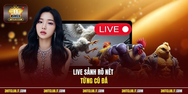 Live sảnh rõ nét từng cú đá